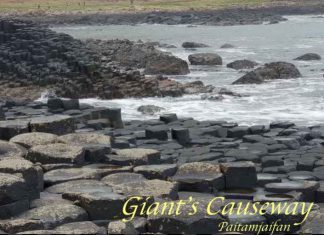 บอกเล่าเรื่องเที่ยวไอร์แลนด์เหนือ Giant’s Causeway-The Dark Hedges