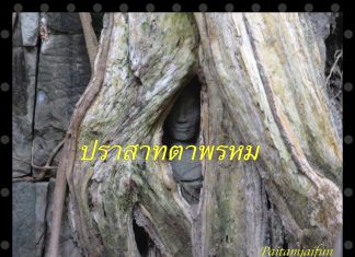 เที่ยวเขมรส่งท้ายปีปราสาทบันทายศรี -ปราสาทตาพรหม