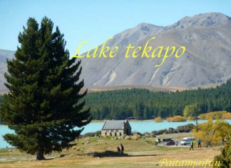 เที่ยวนิวซีแลนด์ 15 วันจากเกาะเหนือสู่เกาะใต้ ทะเลสาบเทคาโป- เมาท์คุก