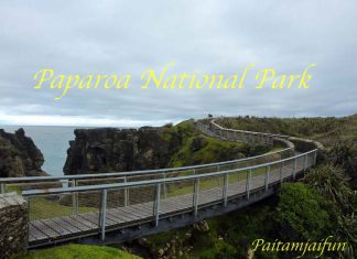 เที่ยวนิวซีแลนด์ 15 วันจากเกาะเหนือสู่เกาะใต้ Paparoa National Park