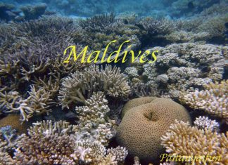 หลบเรื่องวุ่นๆ มาเที่ยวมัลดีฟส์กันเถอะ-Centara Grand Maldives 3