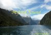 เที่ยวนิวซีแลนด์ 15 วันจากเกาะเหนือสู่เกาะใต้ Milford Sound